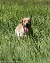 20200809-shl-1117