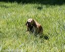 20200809-shl-1149