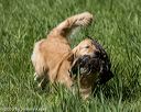 20200809-shl-1186
