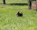 20200809-shl-1192