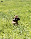 20200809-shl-1199
