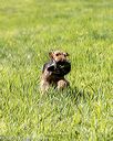 20200809-shl-1202