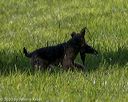 20200809-shl-1211