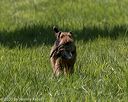 20200809-shl-1217