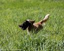 20200809-shl-1237
