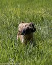 20200809-shl-1252