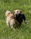20200809-shl-1254