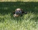 20200809-shl-1258