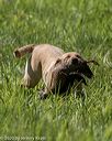 20200809-shl-1357