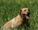 20200809-shl-1361