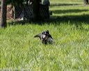 20200809-shl-1383