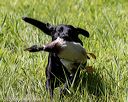 20200809-shl-1437