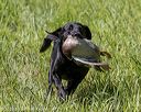 20200809-shl-1440