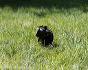 20200809-shl-1444