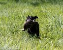 20200809-shl-1452