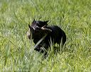 20200809-shl-1456