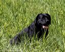 20200809-shl-1474
