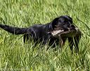 20200809-shl-1489