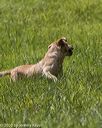 20200809-shl-1512