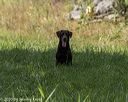 20200809-shl-1593