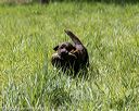 20200809-shl-1627