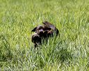 20200809-shl-1630