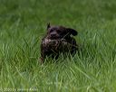 20200809-shl-1658