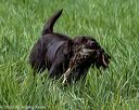 20200809-shl-1670