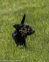 20200809-shl-1695