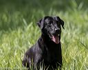 20200809-shl-1713