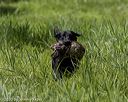 20200809-shl-1722