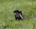 20200809-shl-1742