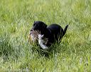 20200809-shl-1743