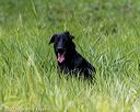 20200809-shl-1763