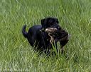 20200809-shl-1781