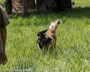 20200809-shl-1904