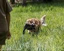 20200809-shl-1906