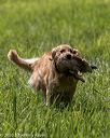 20200809-shl-1922