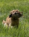 20200809-shl-1925