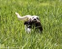 20200809-shl-1987