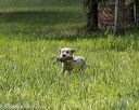 20200809-shl-2004