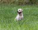 20200809-shl-2033
