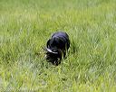 20200809-shl-2060