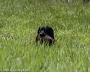 20200809-shl-2083