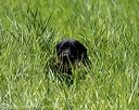 20200809-shl-2091
