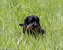 20200809-shl-2094