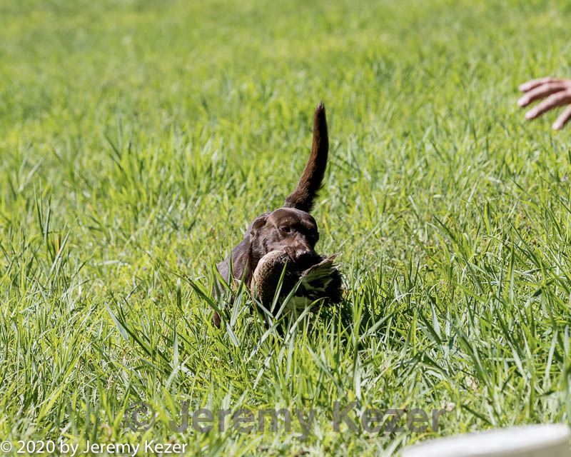 20200809-shl-0883.jpg