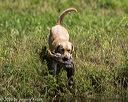 20200809-shw-0005
