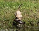 20200809-shw-0007