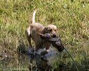 20200809-shw-0020